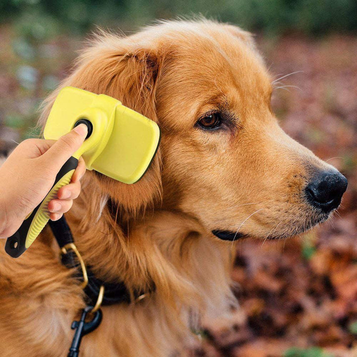 Ciaovie Brush for Pet Cleaning | Bowlift
