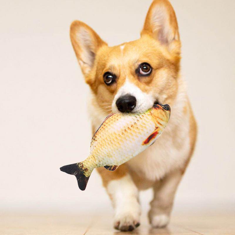 BowLift | Electric simulation fishing toys for pets