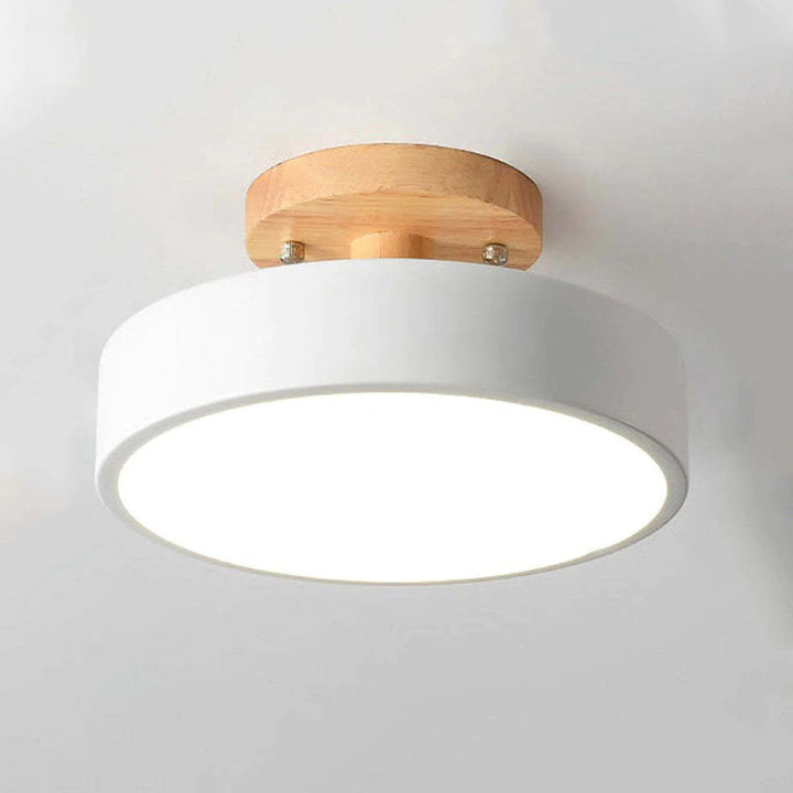 Alaric Modern LED Ceiling Lamp | Bowlift