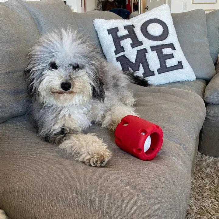 BounceTuff - Interactive Dental Care Toy for Dogs Bowlift