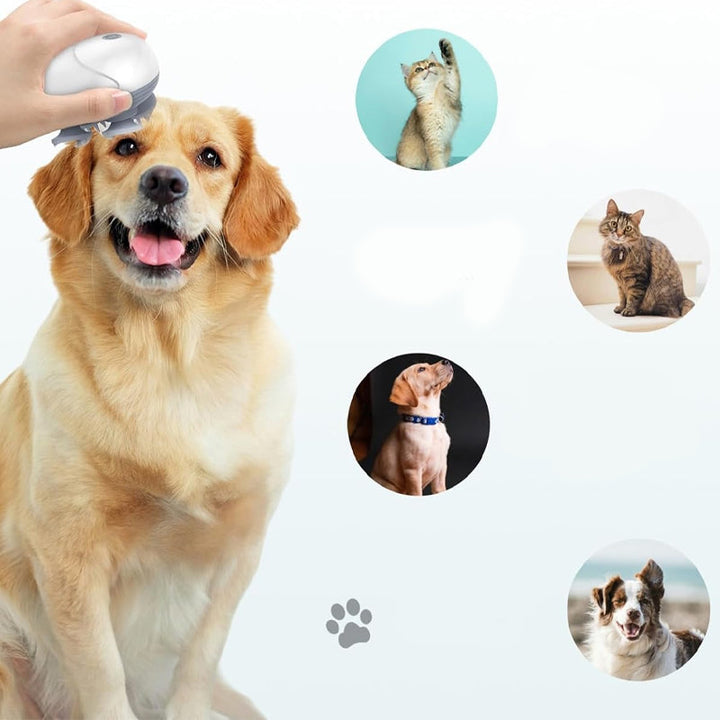 Mini Head Massager, available for pets and people | Bowlift