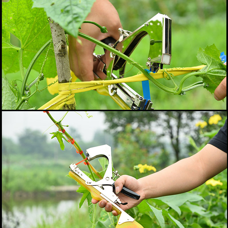 BowLift | Vegetable & Fruit Strapper