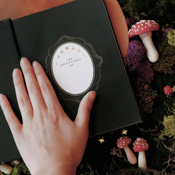 BowLift | Wonderland Journal