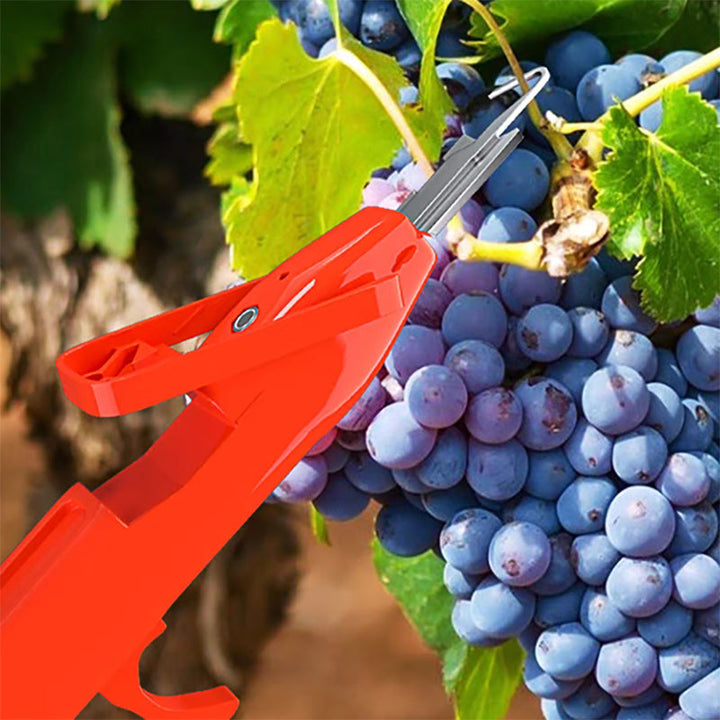 Efficient Pepper Picking Tools | Bowlift