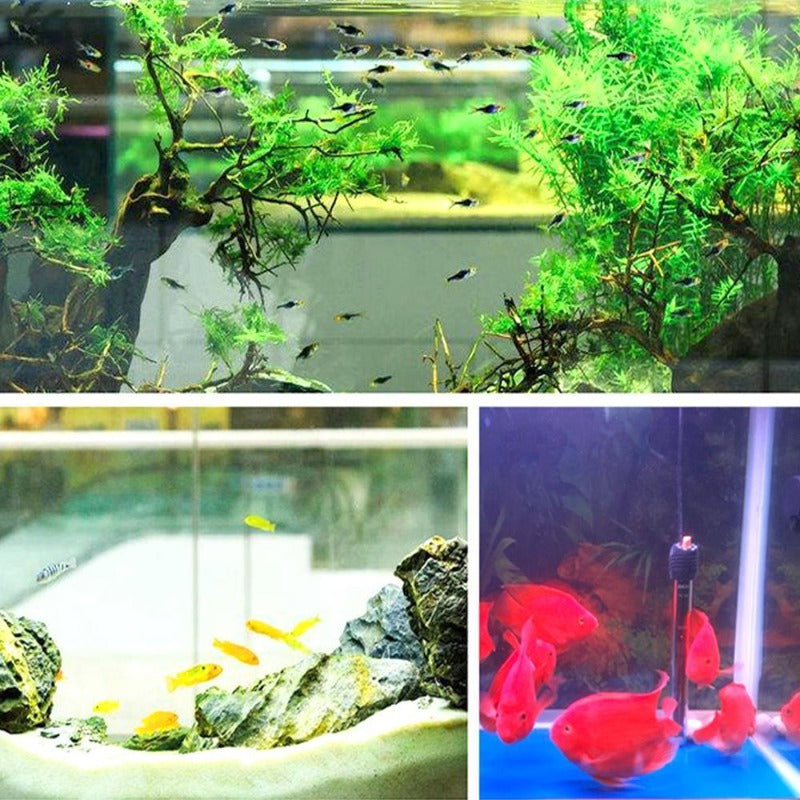 BowLift | Eco-Aquarium Water Purifier Cube