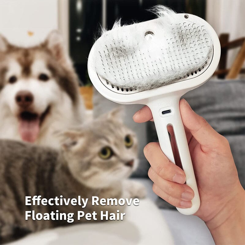 BowLift | Spray Cat Brush