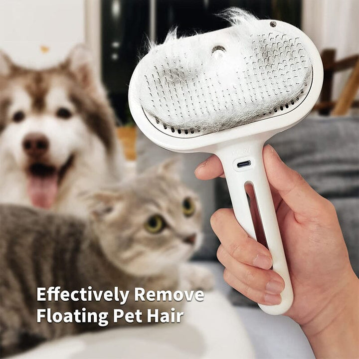BowLift | Spray Cat Brush