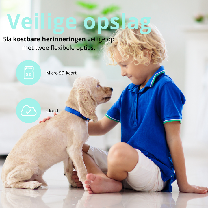 BowLift | Premiumpets Smart Camera - Stay Connected with your Pet