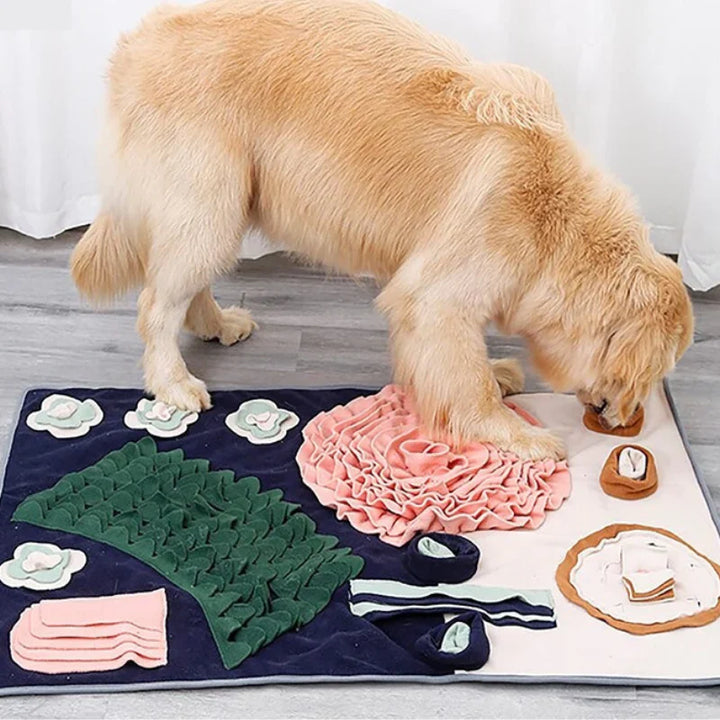 ScentQuest Interactive Sniffing Mat – SniffMaster Bowlift