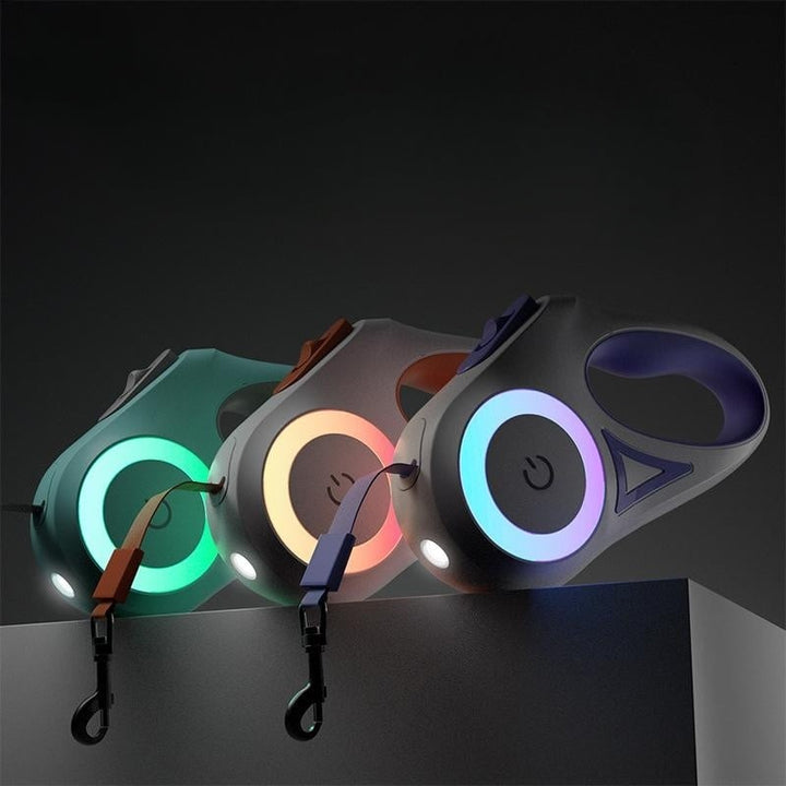 BowLift | Luminous lead for pets