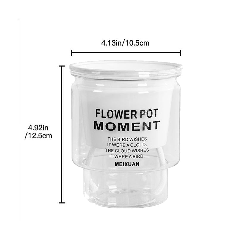 BowLift | Self-Watering Transparent Succulent Planter