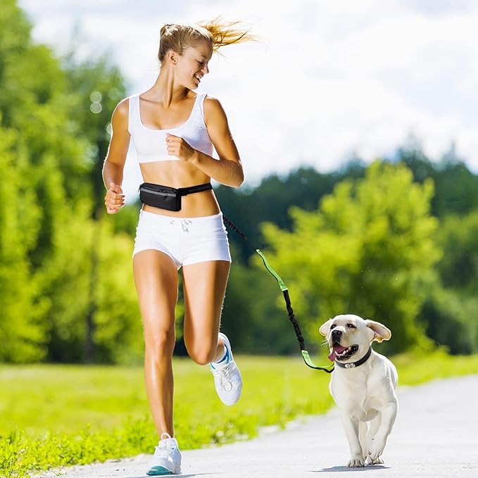 BowLift | PawsFree Pro – Enjoy stress-free walks with your dog