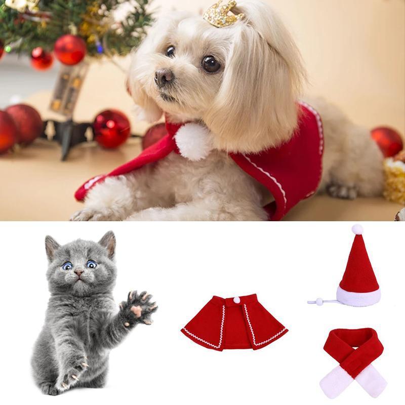 BowLift | FestivaPaws – Warm festive pet outfits that attract attention