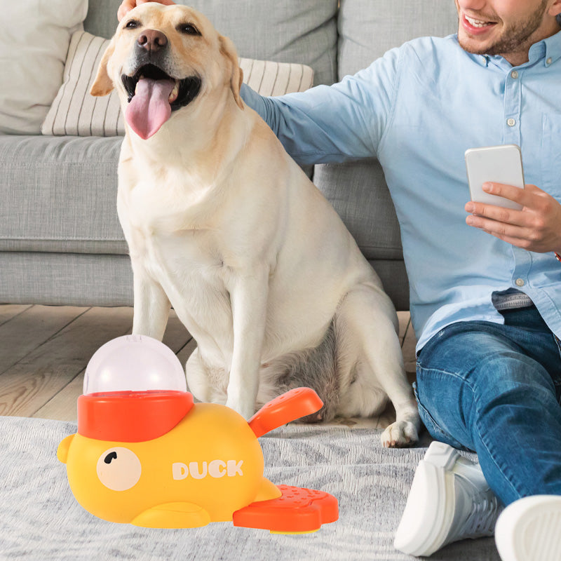 BowLift | PawYum – Engage pets and keep clean floors during feeding