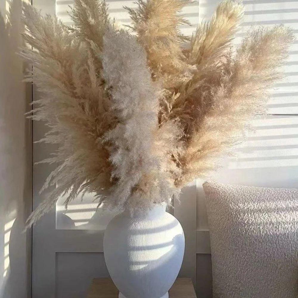 BowLift | 80 cm natural, real dried pampas grass bouquet (white / beige / gray) │ fluffy feather for modern boho home decor
