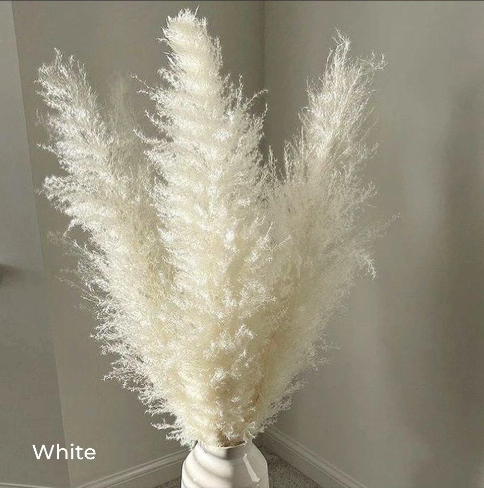 BowLift | 80 cm natural, real dried pampas grass bouquet (white / beige / gray) │ fluffy feather for modern boho home decor