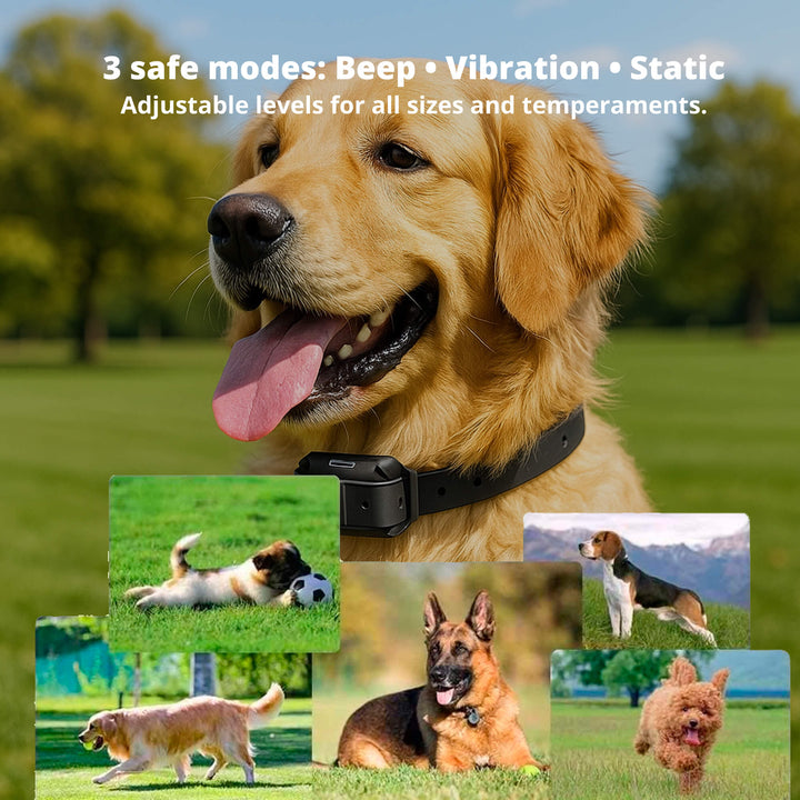 BowLift | 800M Rechargeable Electric Dog Training Collar | Waterproof, Remote Control & Ideal for Effective Dog Training