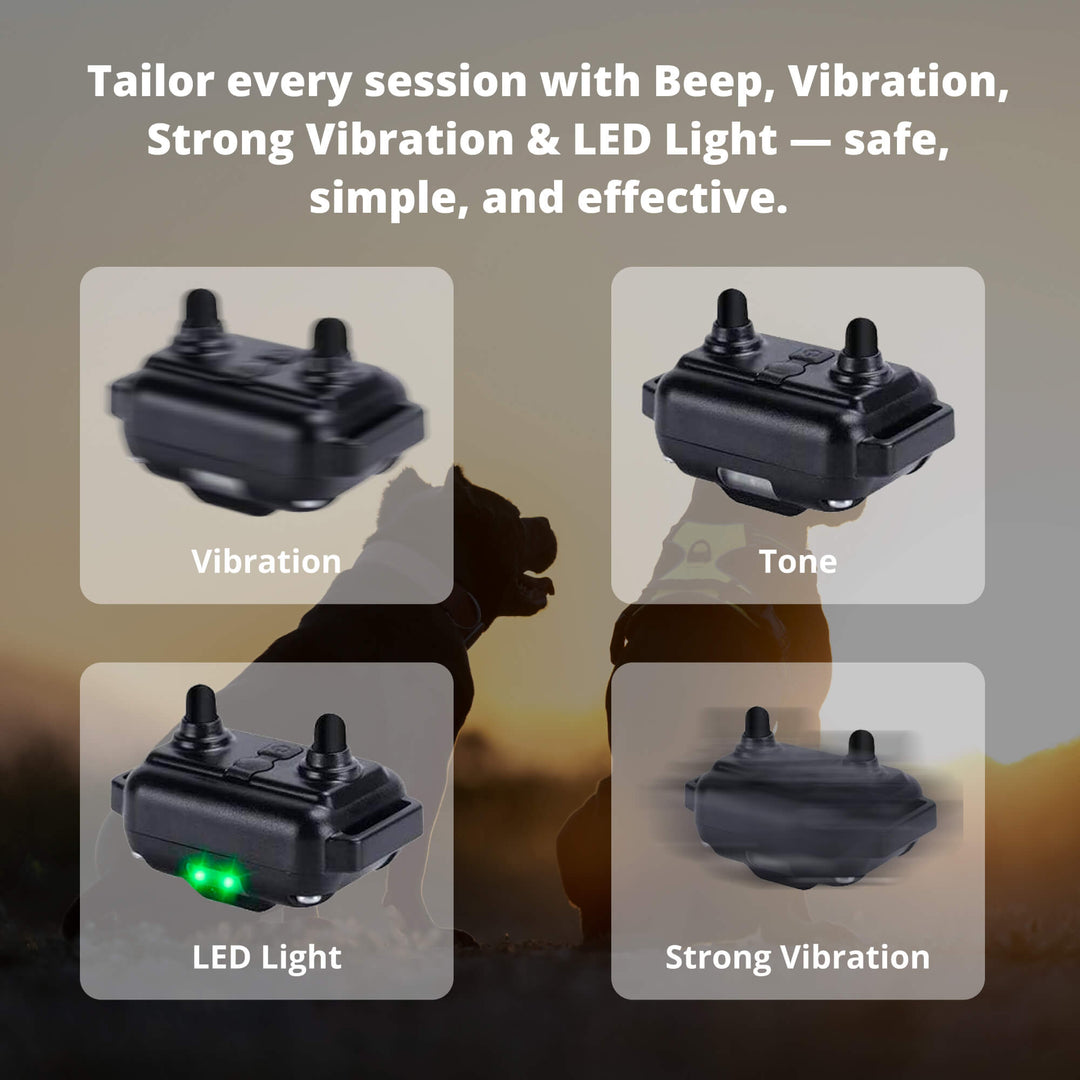 BowLift | 800M Rechargeable Electric Dog Training Collar | Waterproof, Remote Control & Ideal for Effective Dog Training