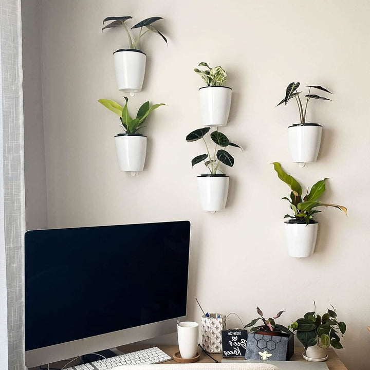 BowLift | Garden Balance – The elegant self-sustaining flower pot for indoor & outdoor