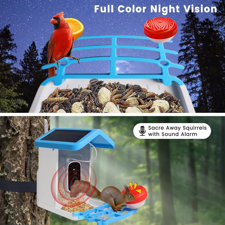 Smart Bird Feeder with Solar Camera – AI Bird Recognition & Night Vision | Bowlift