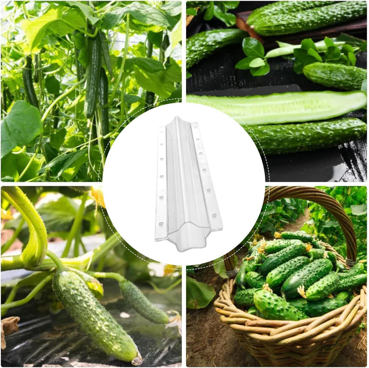BowLift | Star shape vegetable mold for cucumbers – Creative mold rail for fruits and vegetables
