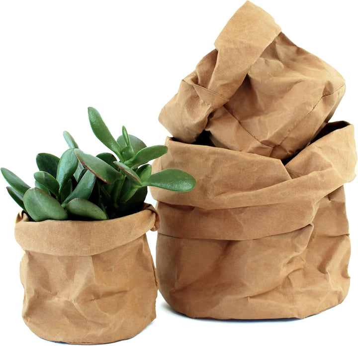 BowLift | Stylish plant pots made of paper for modern decoration