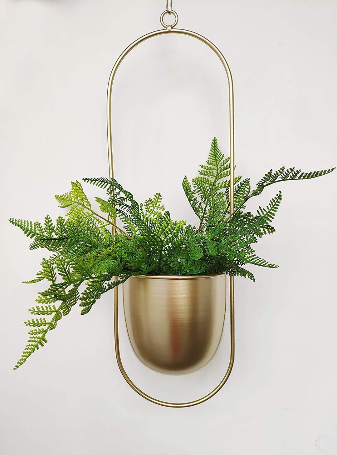 HaloRing Hanging Plant Holder – Metal Hanging Planter for Indoor and Outdoor | Bowlift