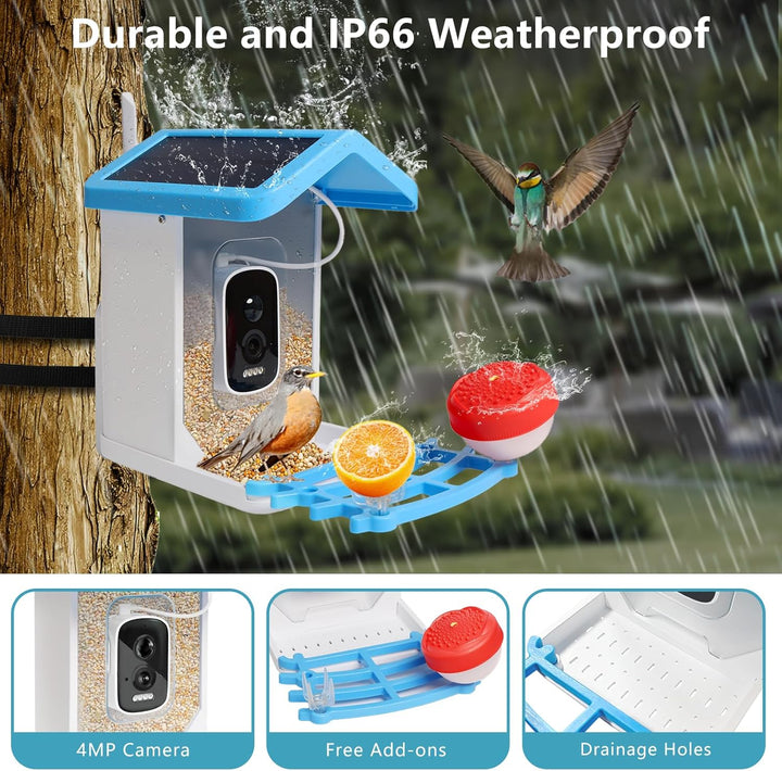 Smart Bird Feeder with Solar Camera – AI Bird Recognition & Night Vision | Bowlift