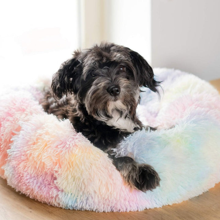 BowLift | Beef Rainbow Extra Plush Calming Donut Dog Beds