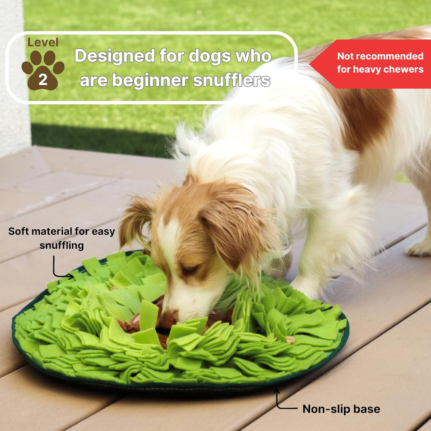 AvocadoForage•  Snuffle Mat for Dogs