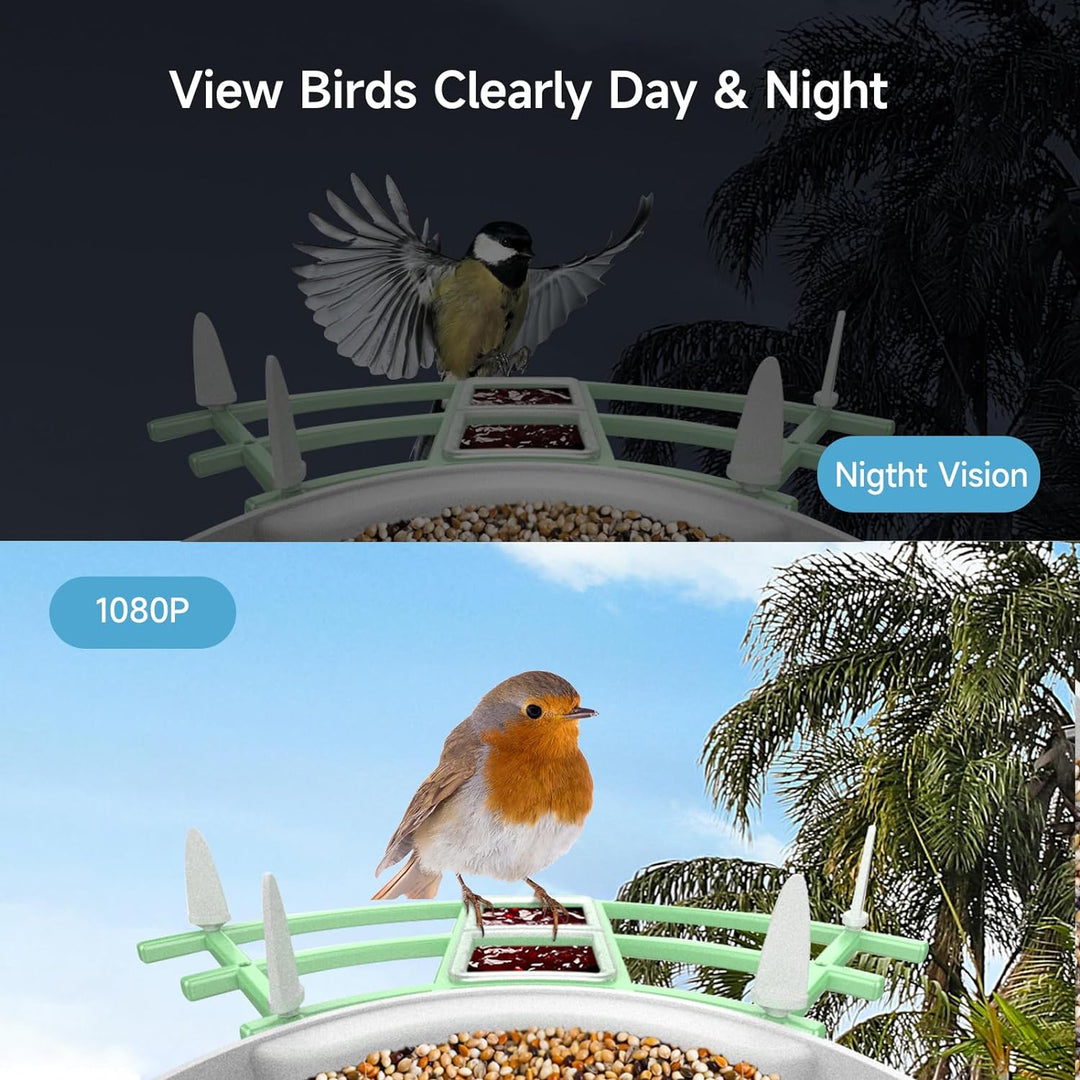 BowLift | Smart Bird Feeder Camera with AI Recognition & Night Vision