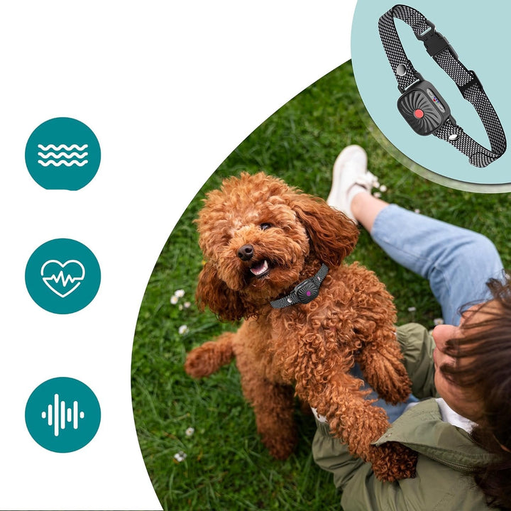 BowLift | Adjustable Anti Bark Collar for Dogs | Humane, Comfortable & Effective Bark Control Device for Small to Large Breeds
