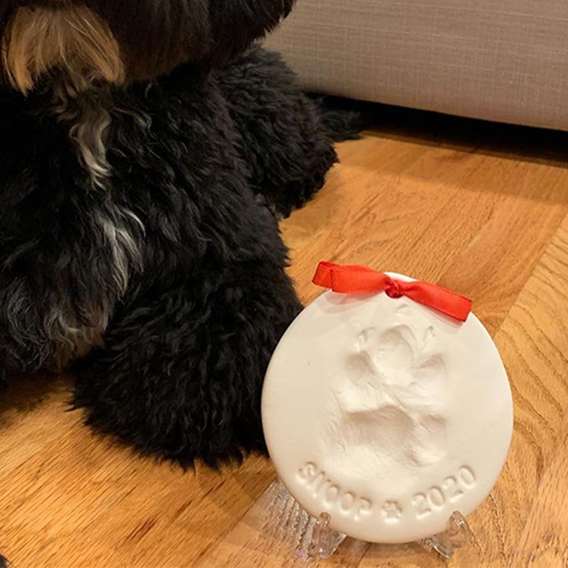 BowLift | Clay Pet Paw Impression Moulding Kit