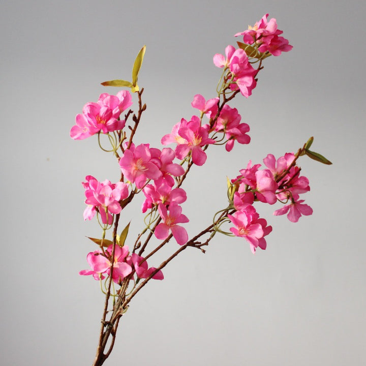 Realistic Blossom Stem
