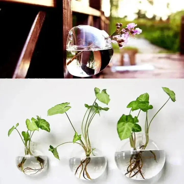 BowLift | GlasOase — Bring Your Walls to Life with Fresh Nature Power and Style
