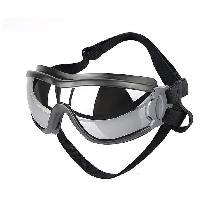 BowLift | Outdoor Protection Glasses for Dogs