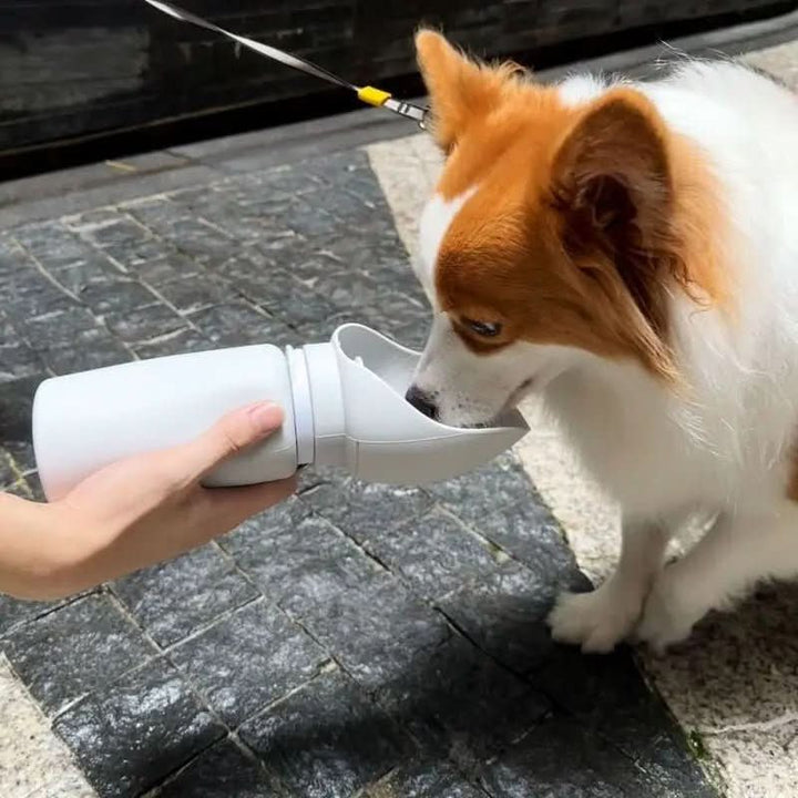 BowLift | LÉO VOYAGEUR – Foldable drinking bottle for dogs with leak protection & one-handed operation