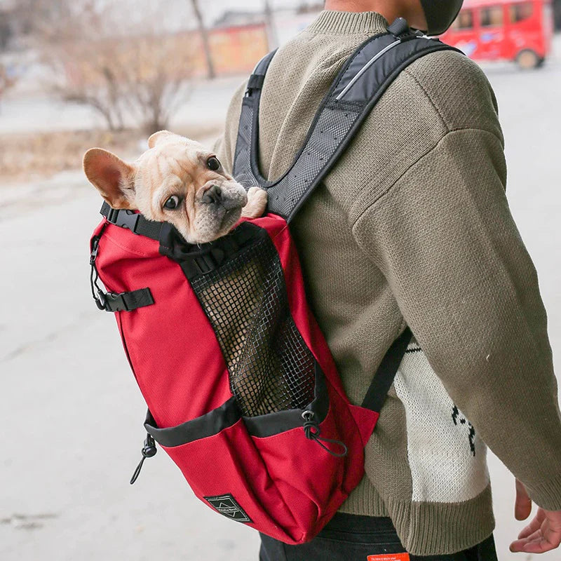 BowLift | Dog Backpack – Comfortable Carrying Bag for Medium Dogs with Safety Strap and Storage Pockets