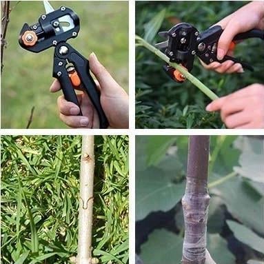 BowLift | Garden Professional Grafting Cutting Tool