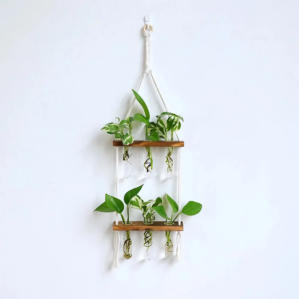 BowLift | Elegant Wooden Hydroponic Wall Vase