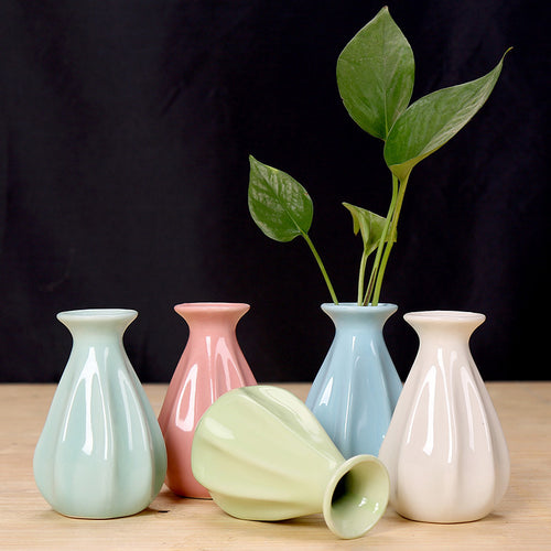 Elegant Ceramic Flower Holder Bowlift