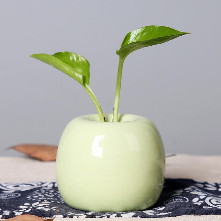 Artistic Ceramic Apple-Shaped Planter Bowlift