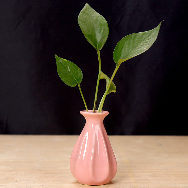 Elegant Ceramic Flower Holder Bowlift