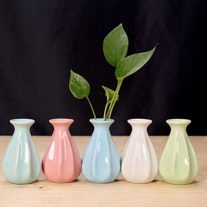 Elegant Ceramic Flower Holder Bowlift