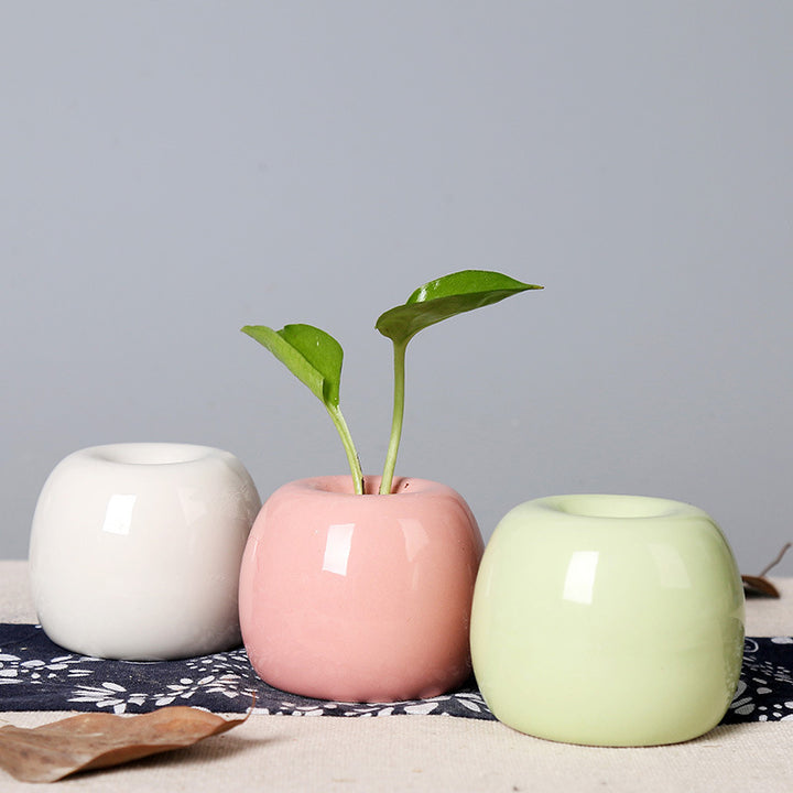 Artistic Ceramic Apple-Shaped Planter Bowlift