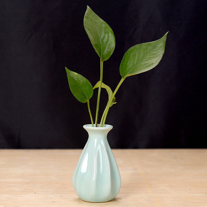 Elegant Ceramic Flower Holder Bowlift