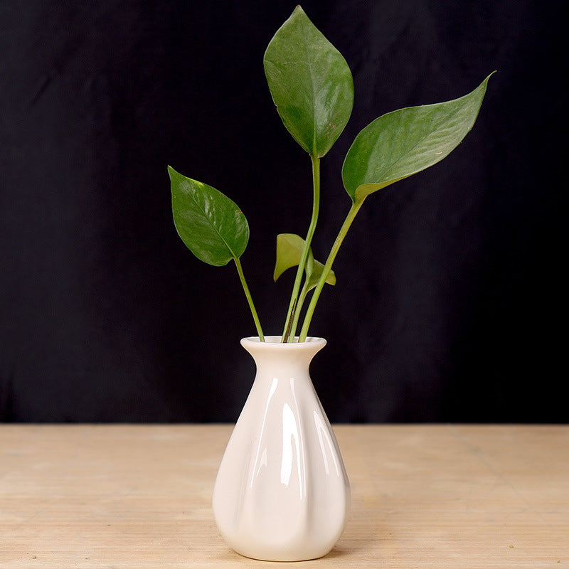 Elegant Ceramic Flower Holder Bowlift