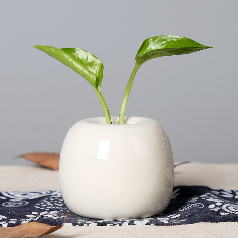 Artistic Ceramic Apple-Shaped Planter Bowlift