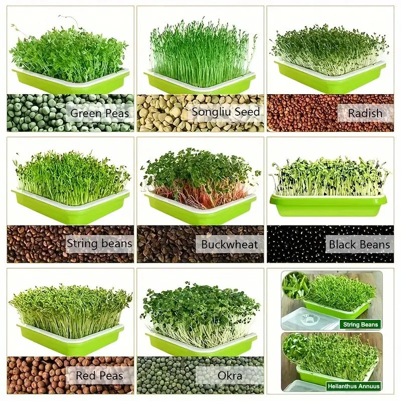 BowLift | Germination trays with lid – Double-layer seed sowing tray for effective seed germination