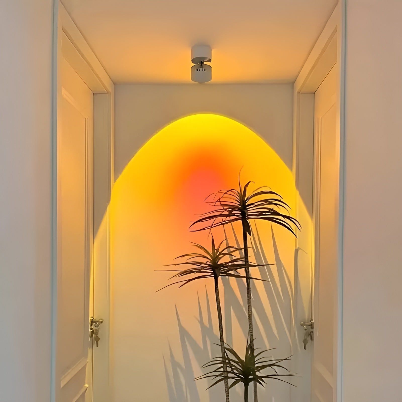 BowLift | Light - Modern Sunset LED Wall Light